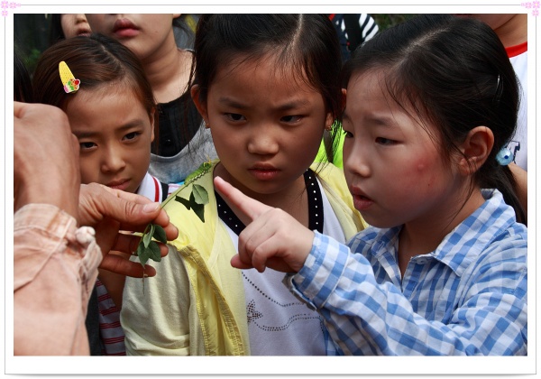 토요학교(곤충체험학습)2 - 부산 양정 넘치는교회